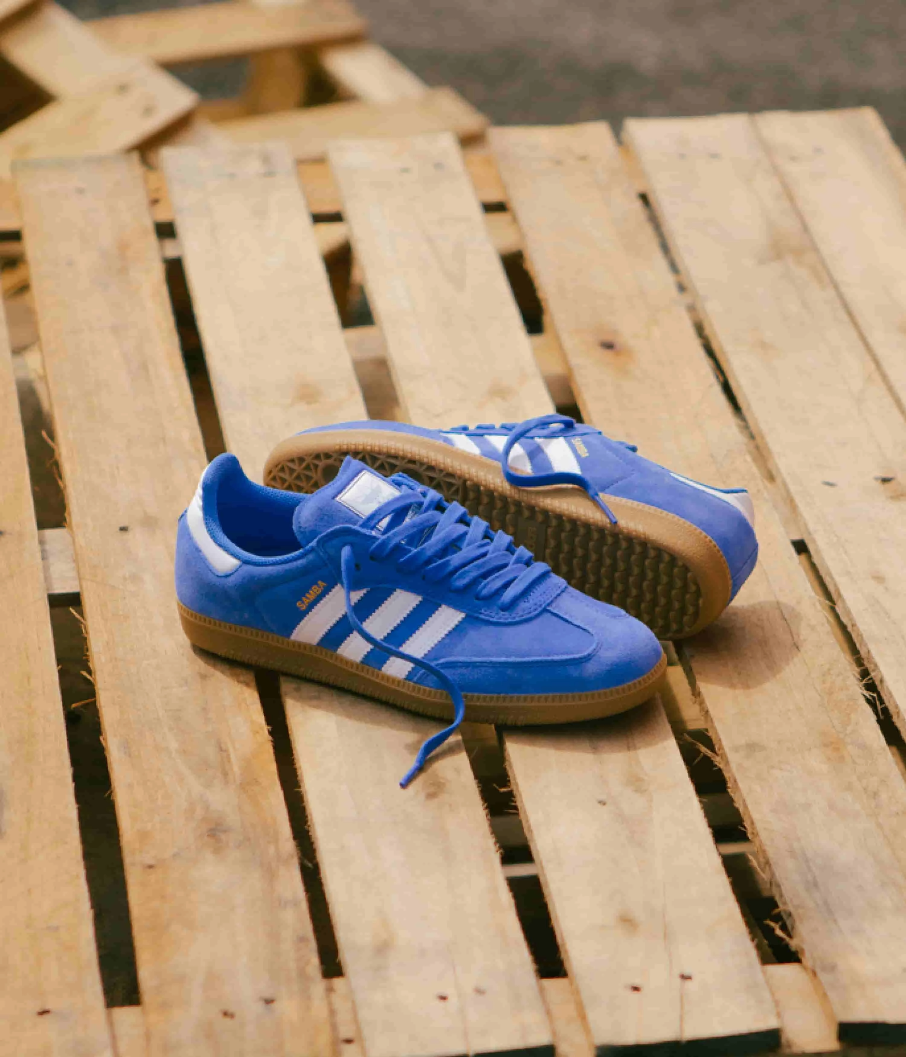Adidas Samba ADV Shoes - Bluebird / Cloud White / Gold Metallic Workout Adidas Shoes