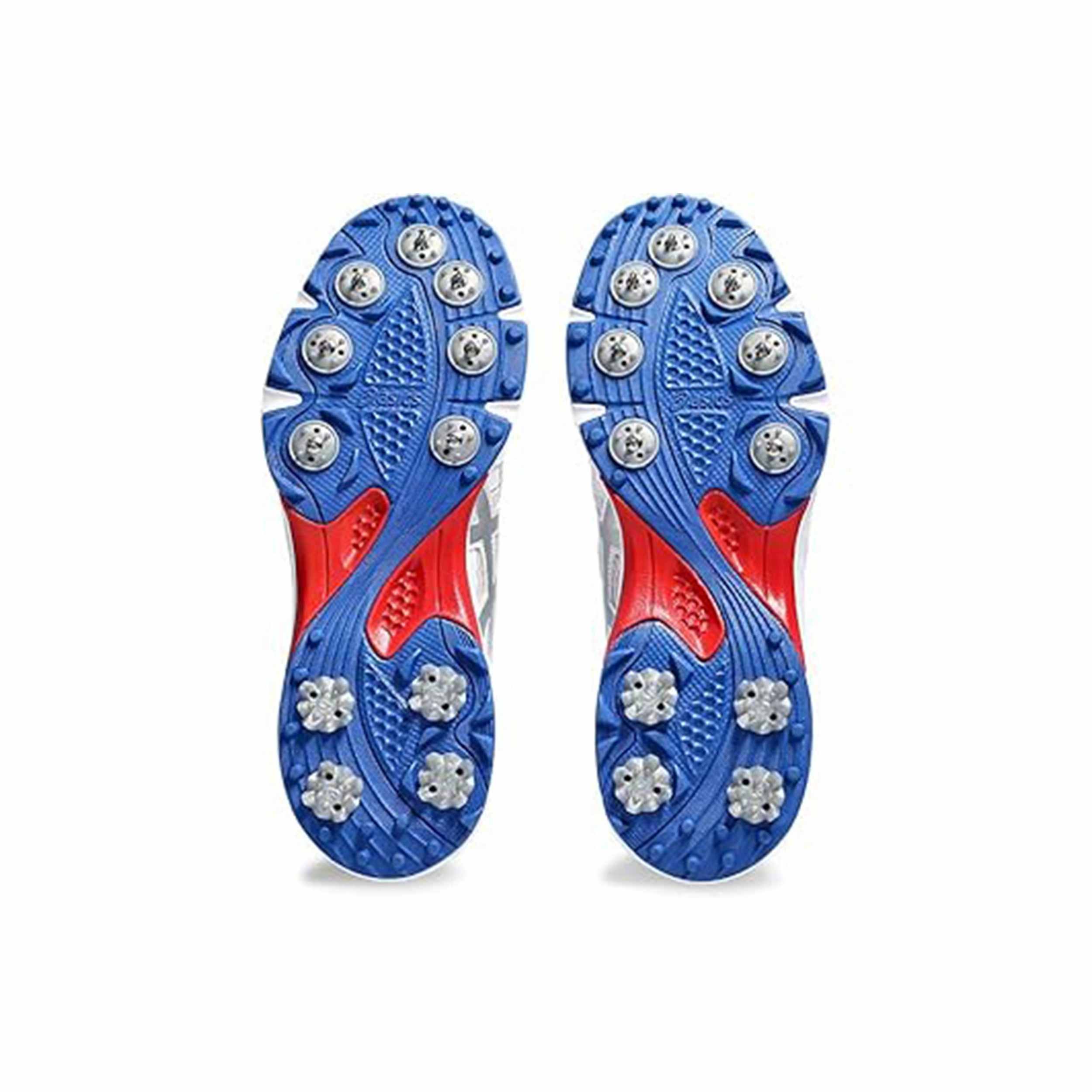 Asics Gel Gully 7 Cricket Shoes (White / Pure Silver) Asics Magic Speed Shoes