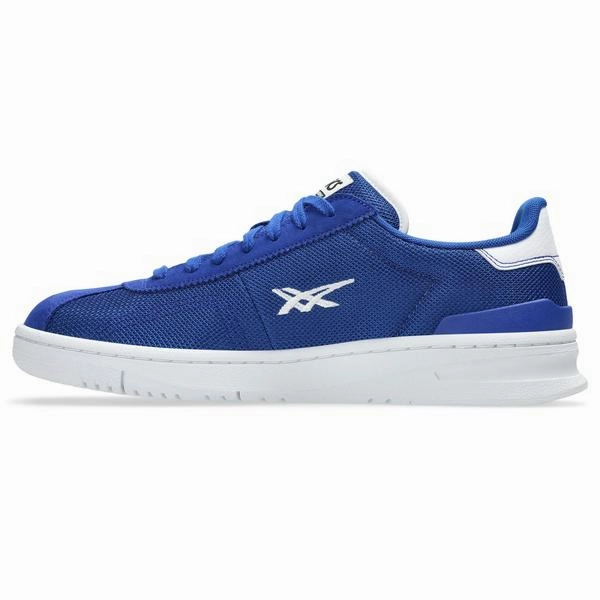 Asics Skateboarding Vic NBD Prussian Blue - White Asics Frequent Trail Shoe