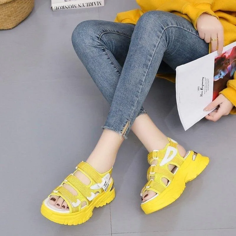 Colorful Women Sandals New Design Women's Chunky Sandals Beach Chihuahua Slippers