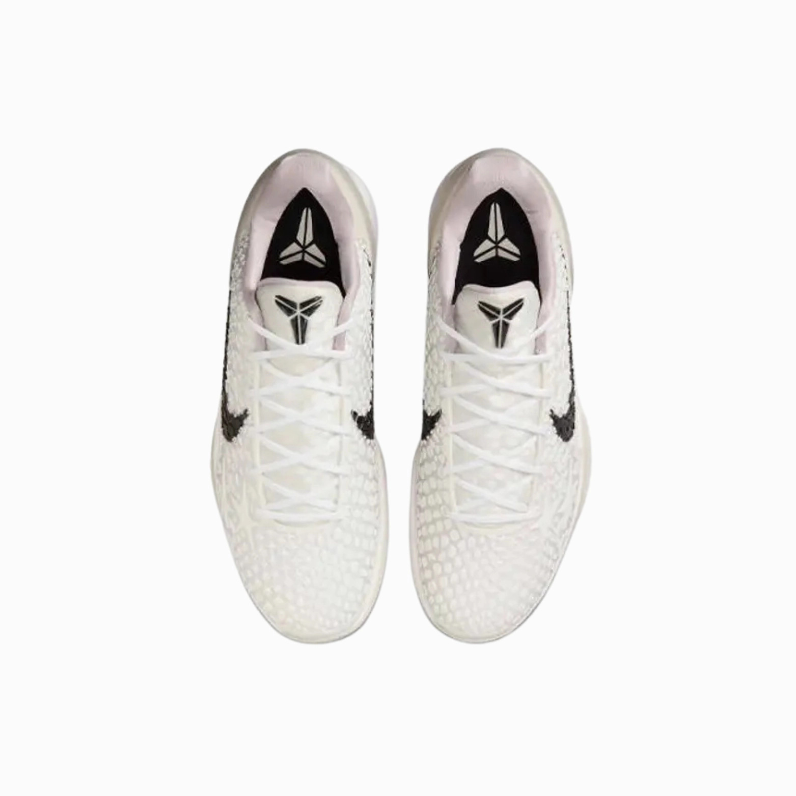 Nike Kobe 6 Protro Sail All-Star Asics Aggressor 1 Wrestling Shoes