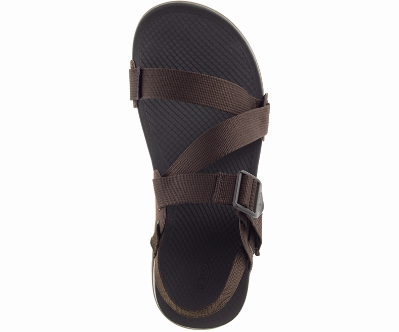 Sandals With Low Heels Chaco Lowdown Sandal - Men's