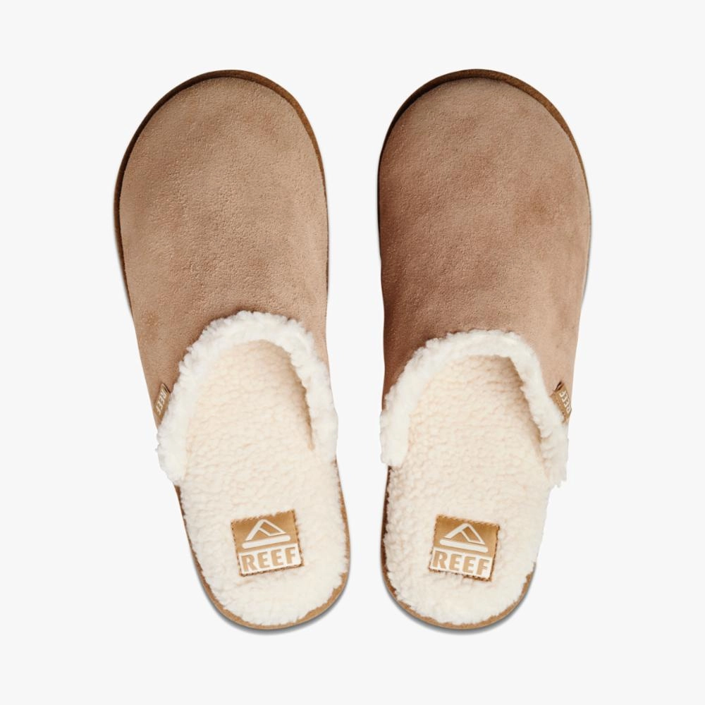 REEF GLIDER Miu Miu Slides