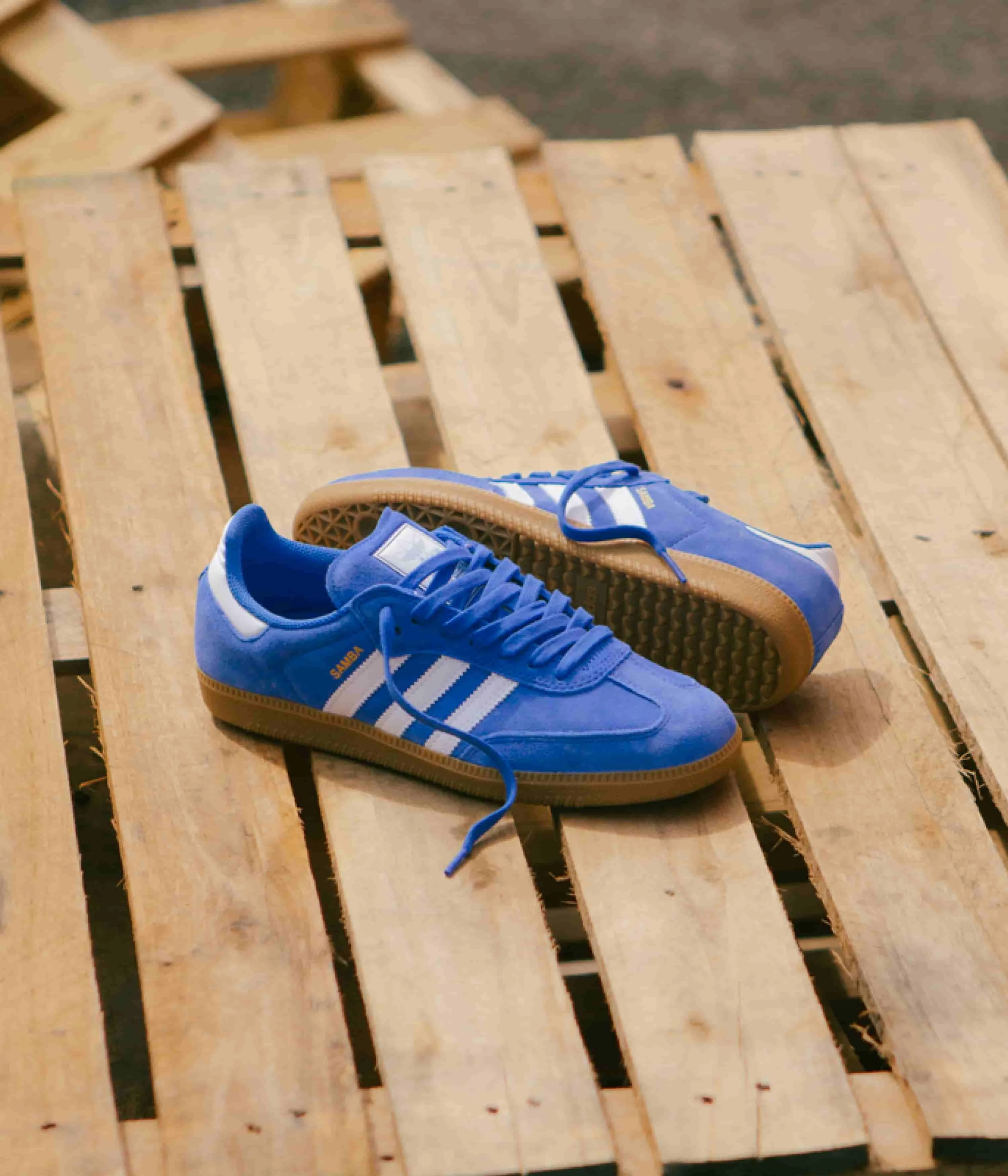 Adidas Samba ADV Shoes - Bluebird / Cloud White / Gold Metallic Adidas Adipower Weightlifting Shoes