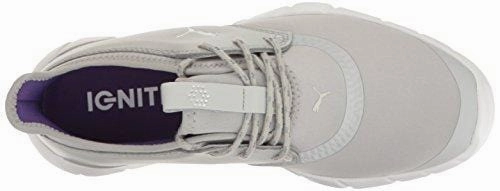 Best Asics Race Day Shoes PUMA Women's Ignite Spikeless Sport WMNS Golf Shoe, Gray Violet Silver-Royal Purple, 8.5 Medium US