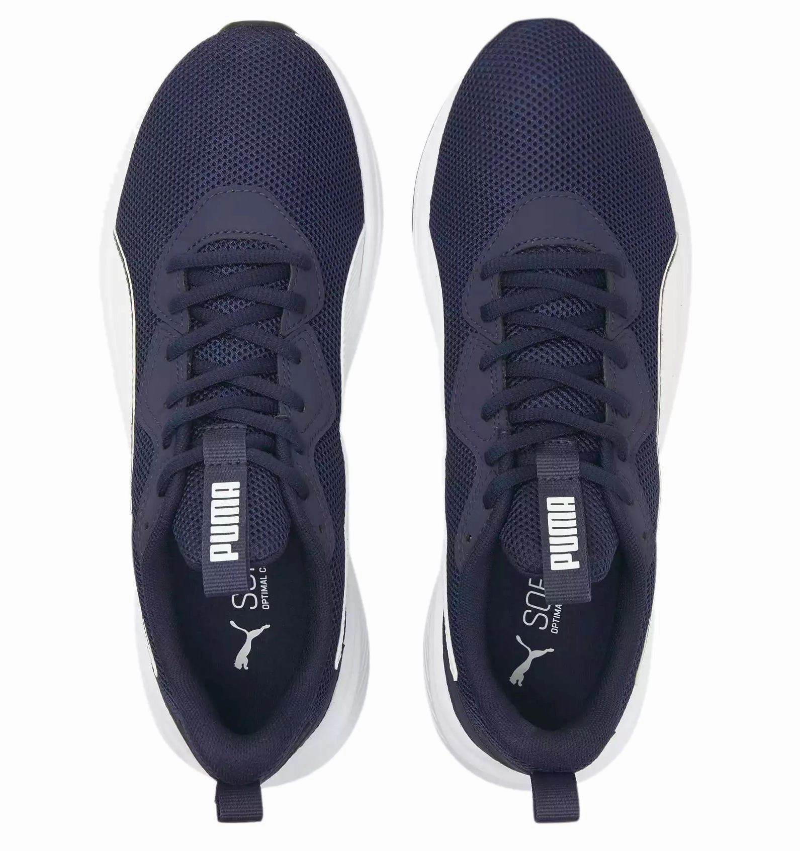 Incinerate Running Shoes Asics Gel Assault Wrestling Shoes